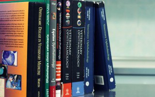 Biblioteca