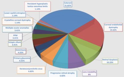 A retrospective evaluation of the incidence of hereditary ocular disorders In Lagotto Romagnolo Dog Breed in Italy