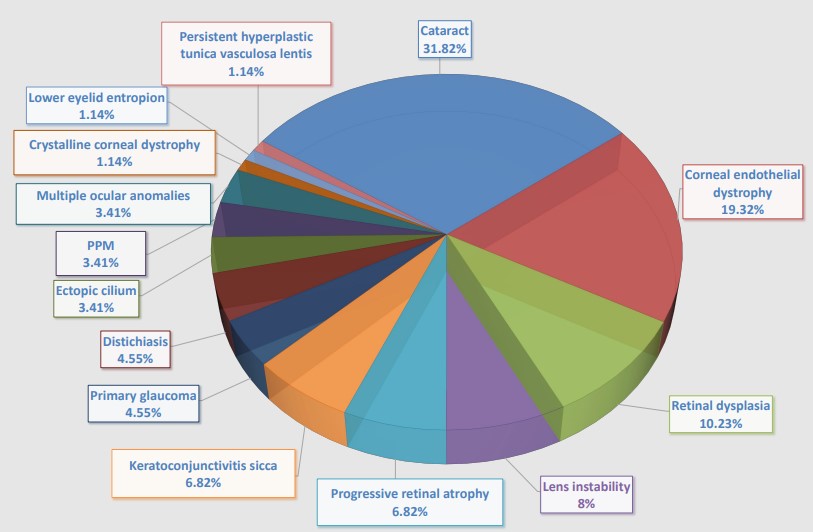 A retrospective evaluation of the incidence of hereditary ocular disorders In Lagotto Romagnolo Dog Breed in Italy