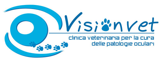 logo21_520